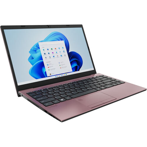 Portátil VAIO FE14 de 14,1" Oro Rosa