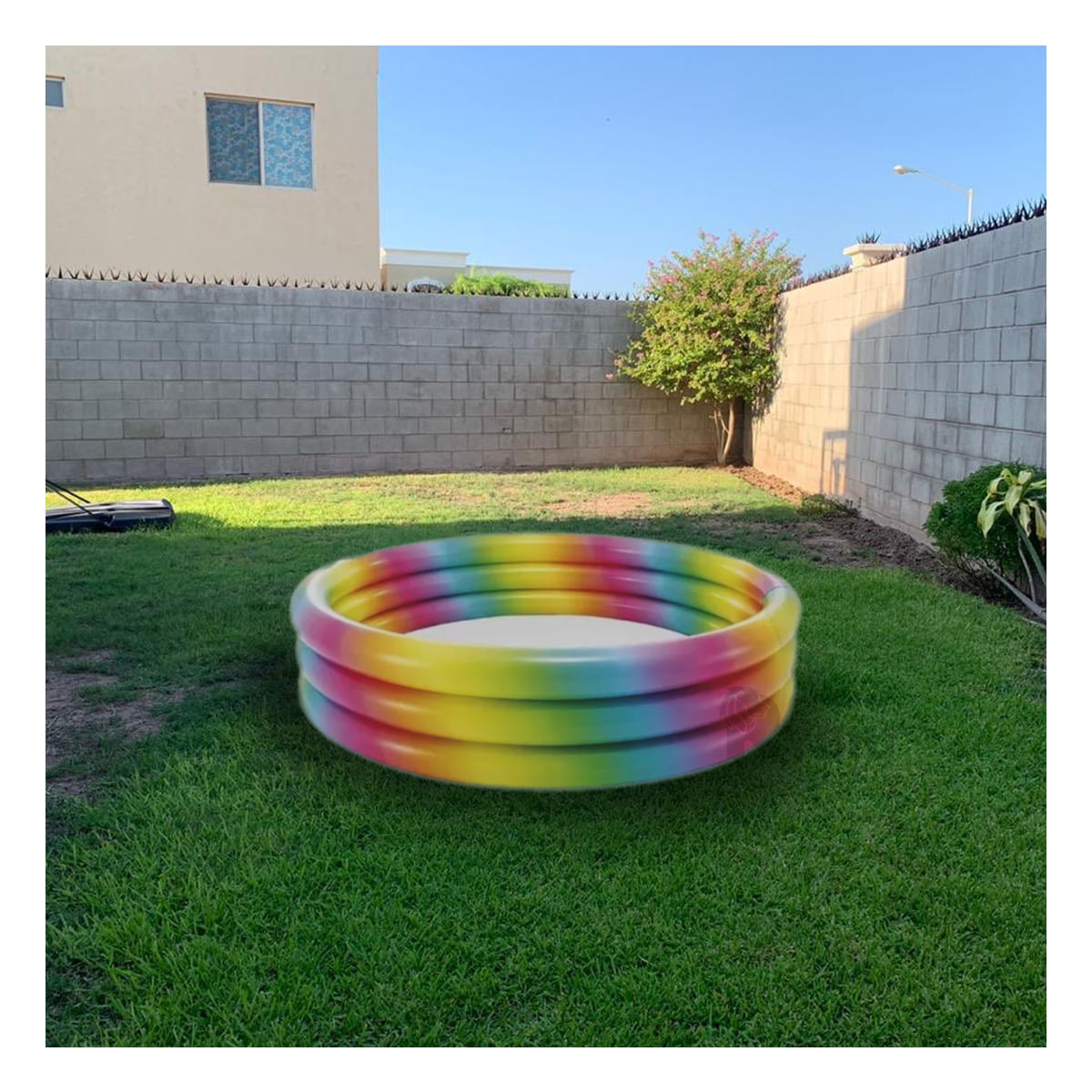Alberca con Diseño Multicolor de Forma Circular