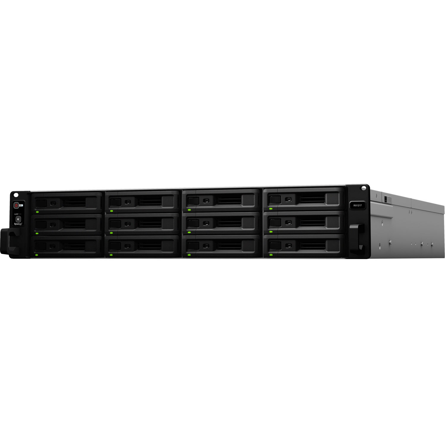 Unidad de Expansión de Almacenamiento Synology Rx1217 de 12 Bahías