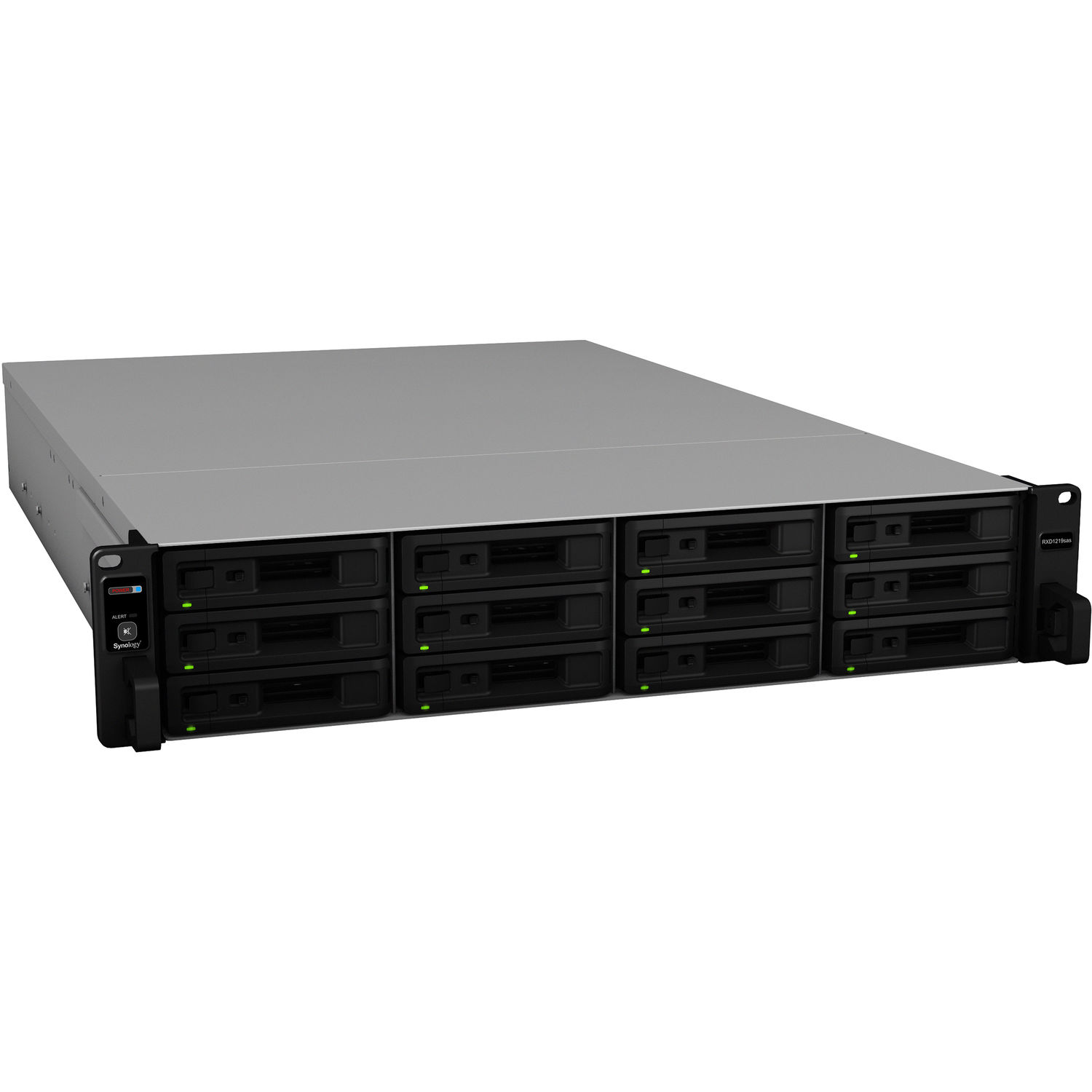 Unidad de Expansión de Almacenamiento Synology Rxd1219Sas de 12 Bahías