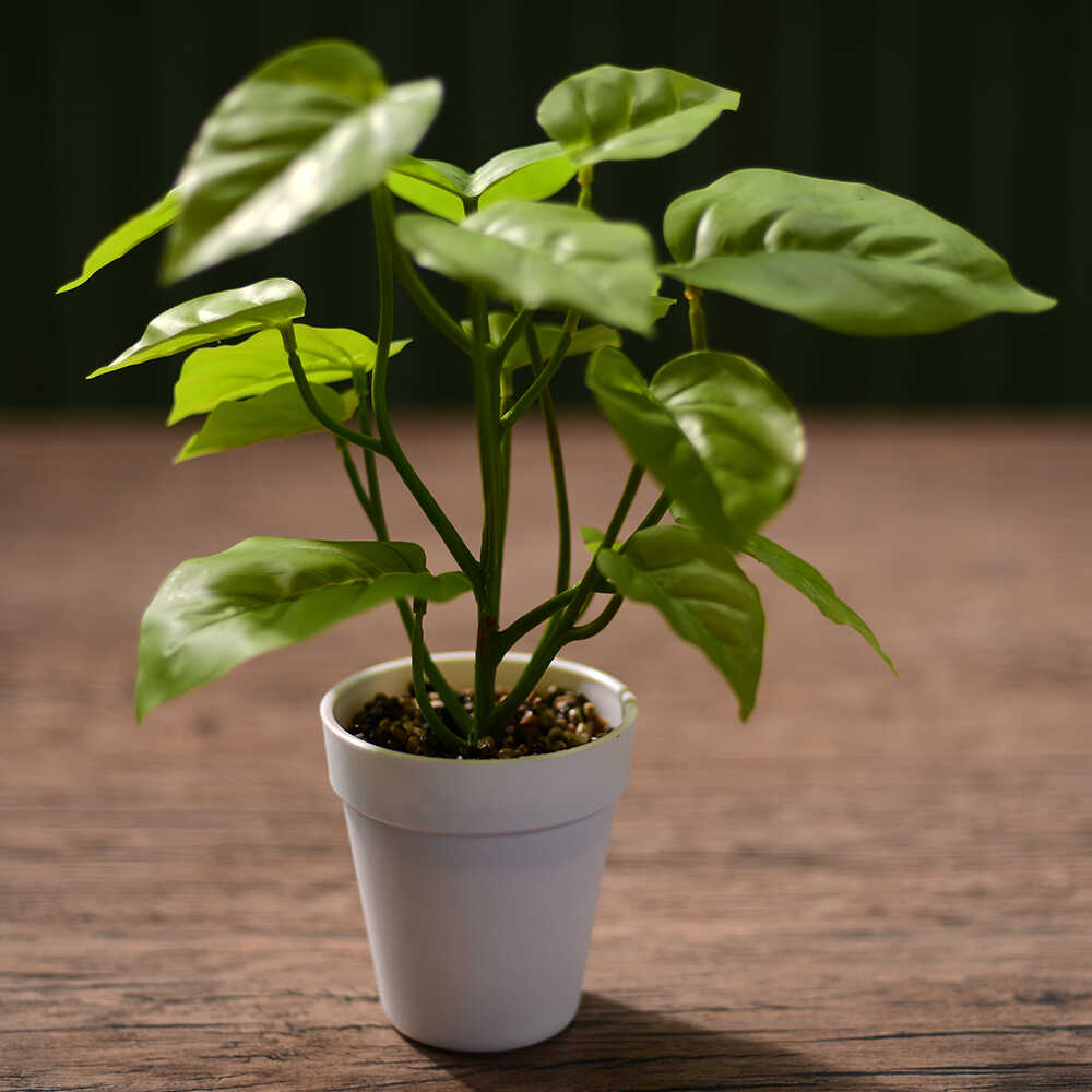 Planta Artificial con Maceta Kentia Exotic 30cm Orange