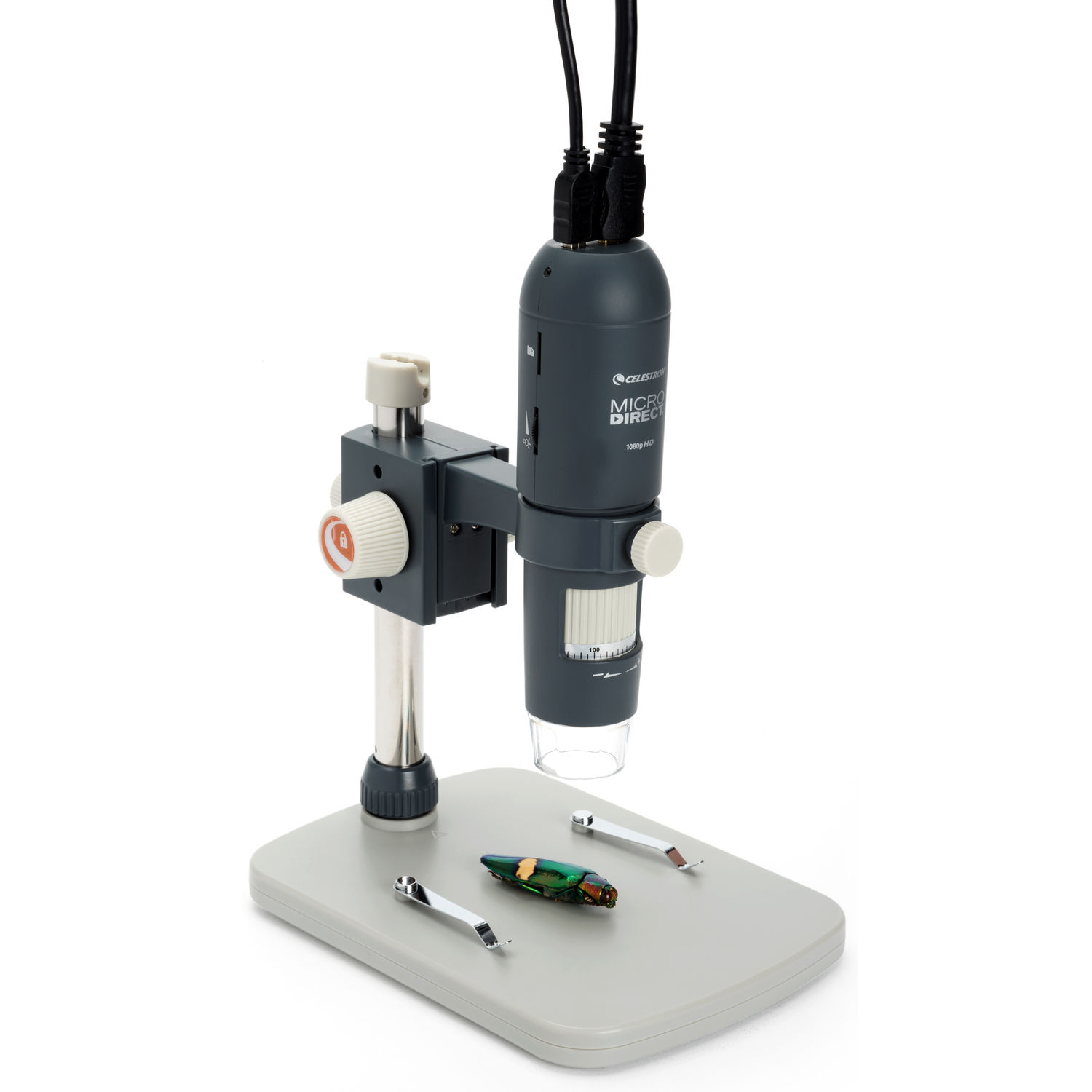 Microscopio Digital Portátil Celestron Microdirect 1080P Hdmi Gris