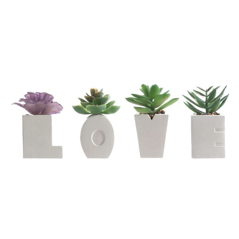Planta Love 11  cm