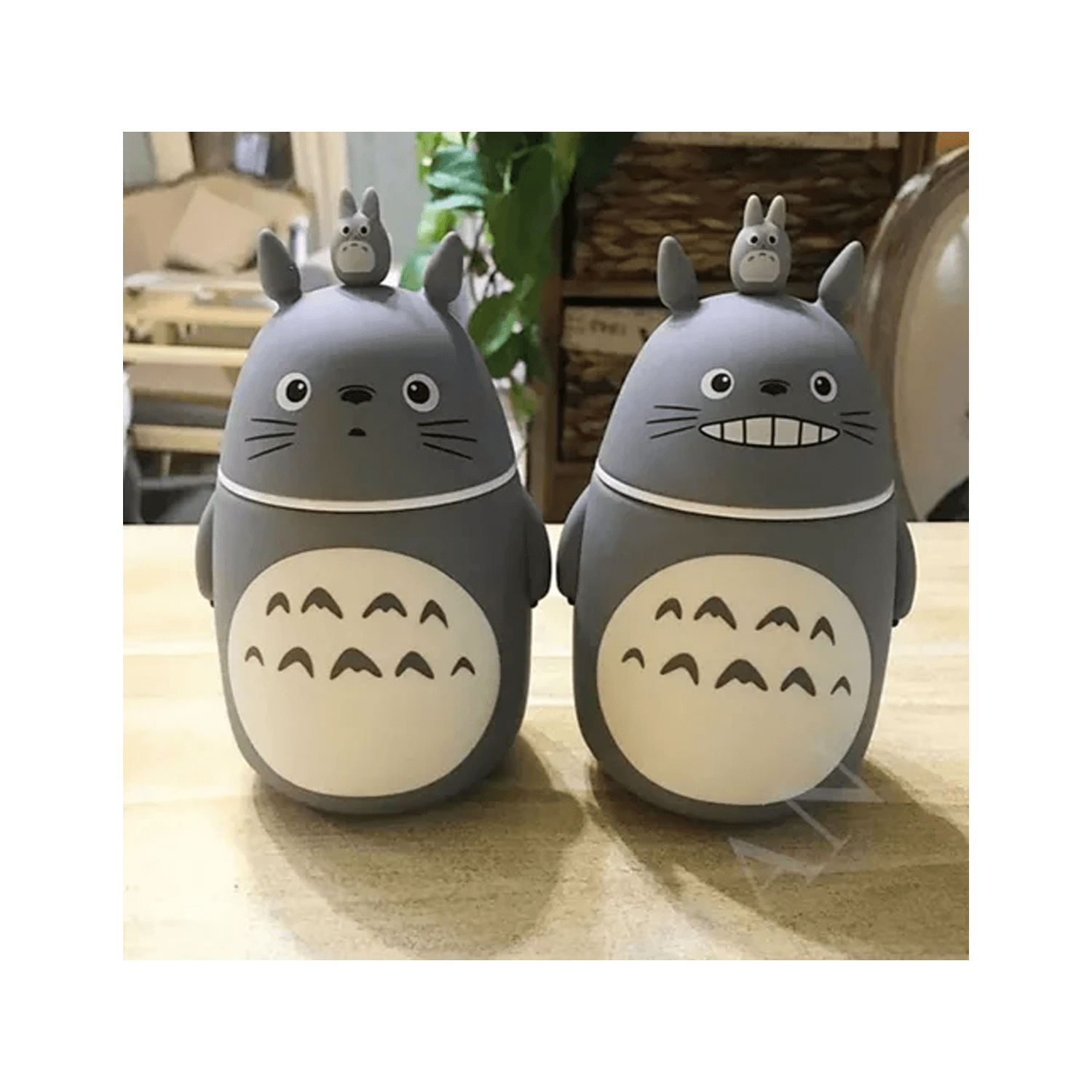 Termo de Mi Vecino Totoro de 300ml