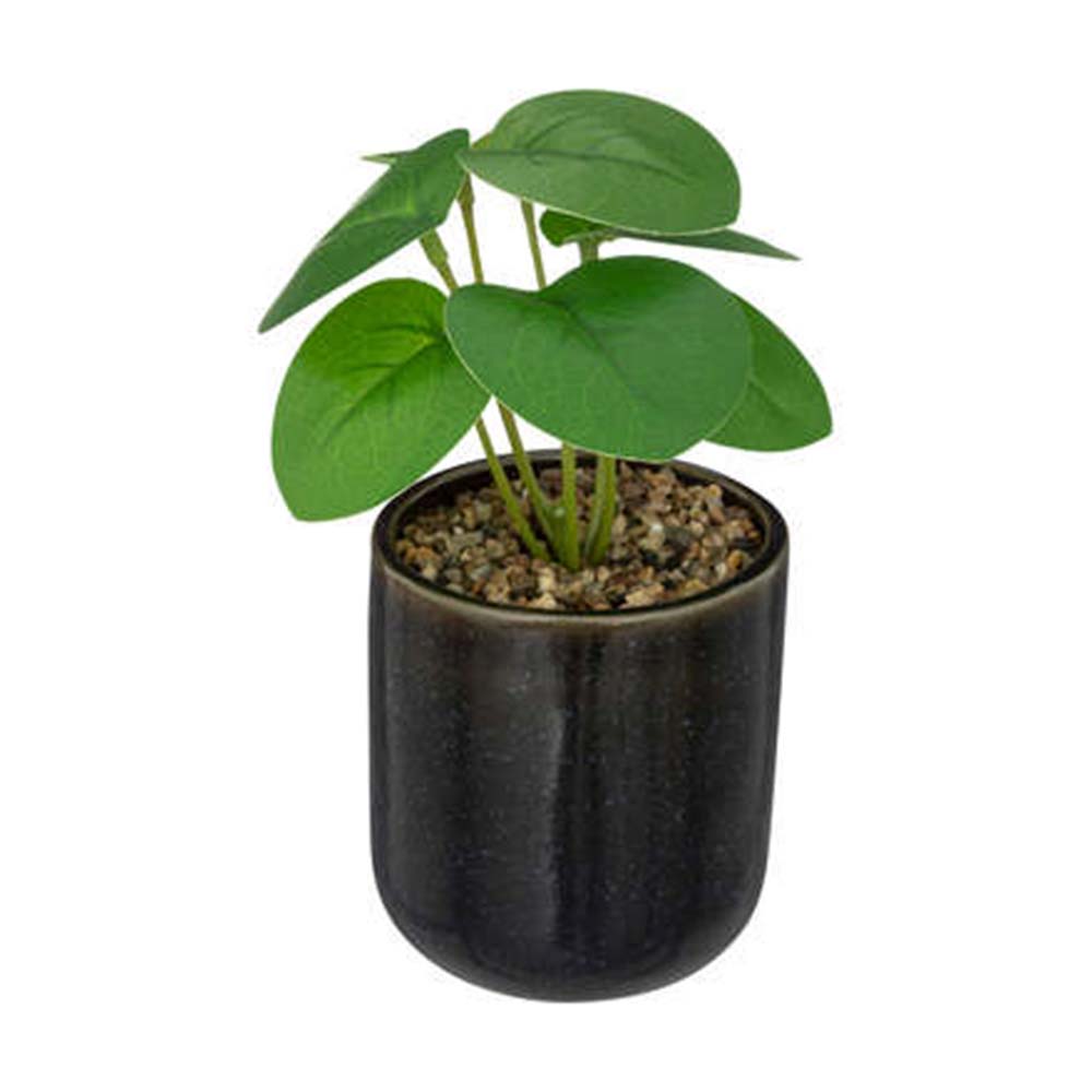 Planta artificial maceta Negro 16cm
