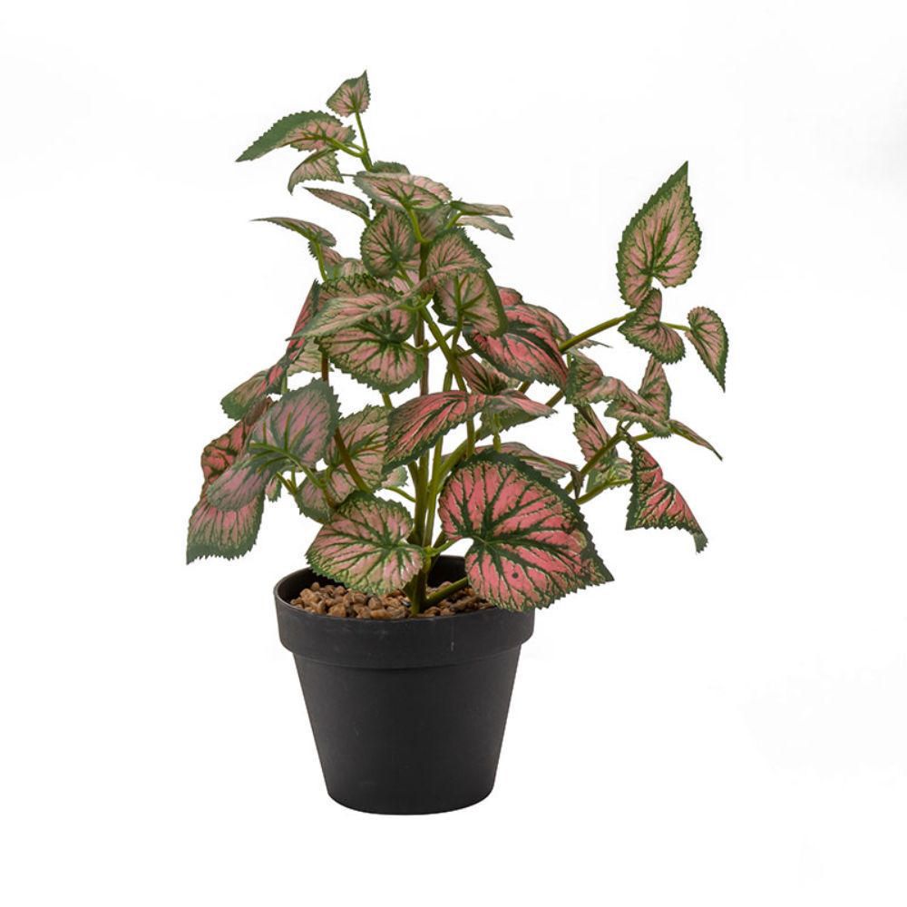 Planta Rosada 32 cm