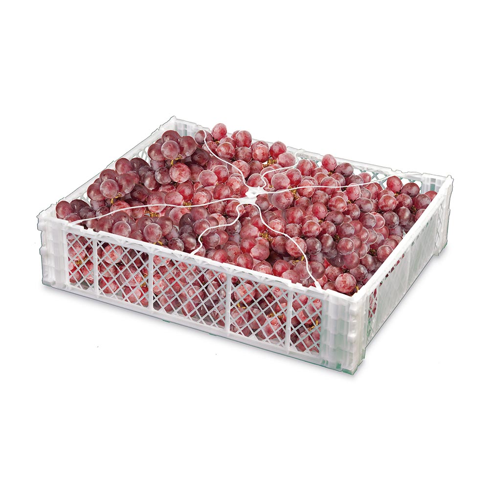 Caja de uva P18 con tirantes 582 Cajas Pallet