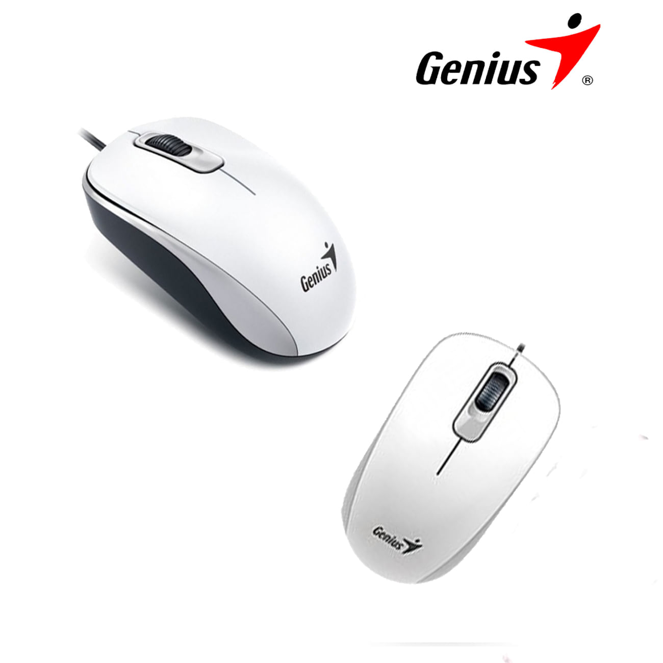 Mouse Genius Dx-110 Usb óptico Blanco