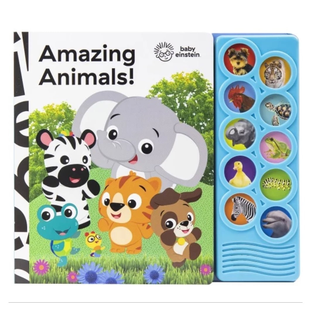 10 Botones Baby Einstein Animales Increibles Rf