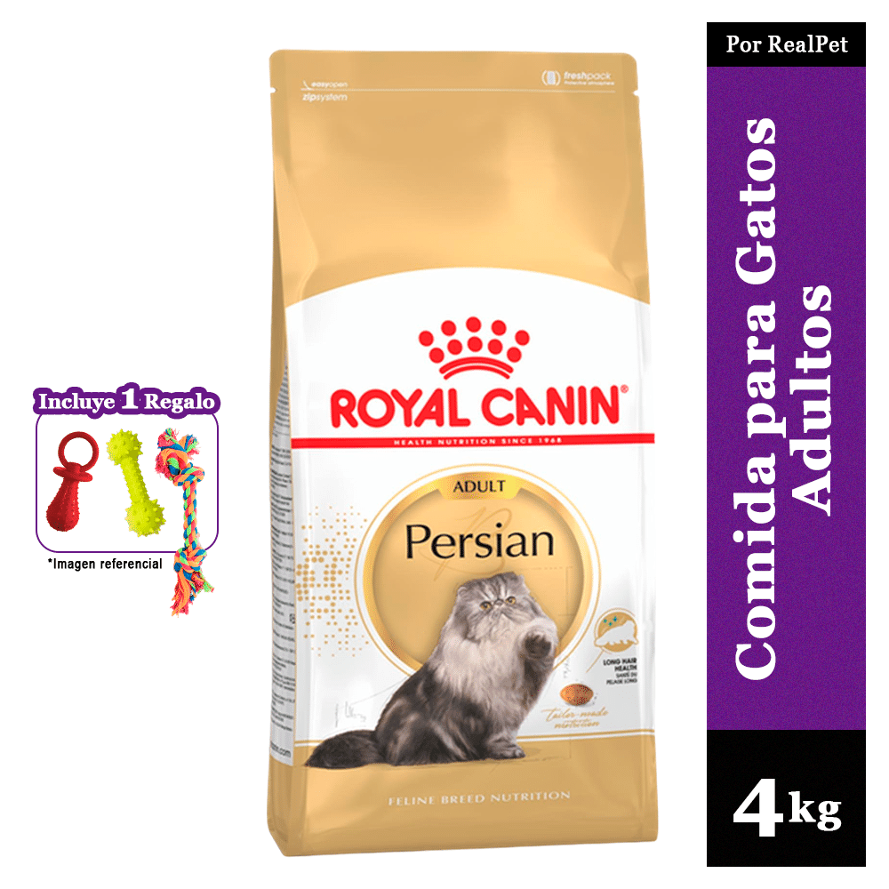 Comida para Gatos Adultos Royal Canin Persian 4 kg