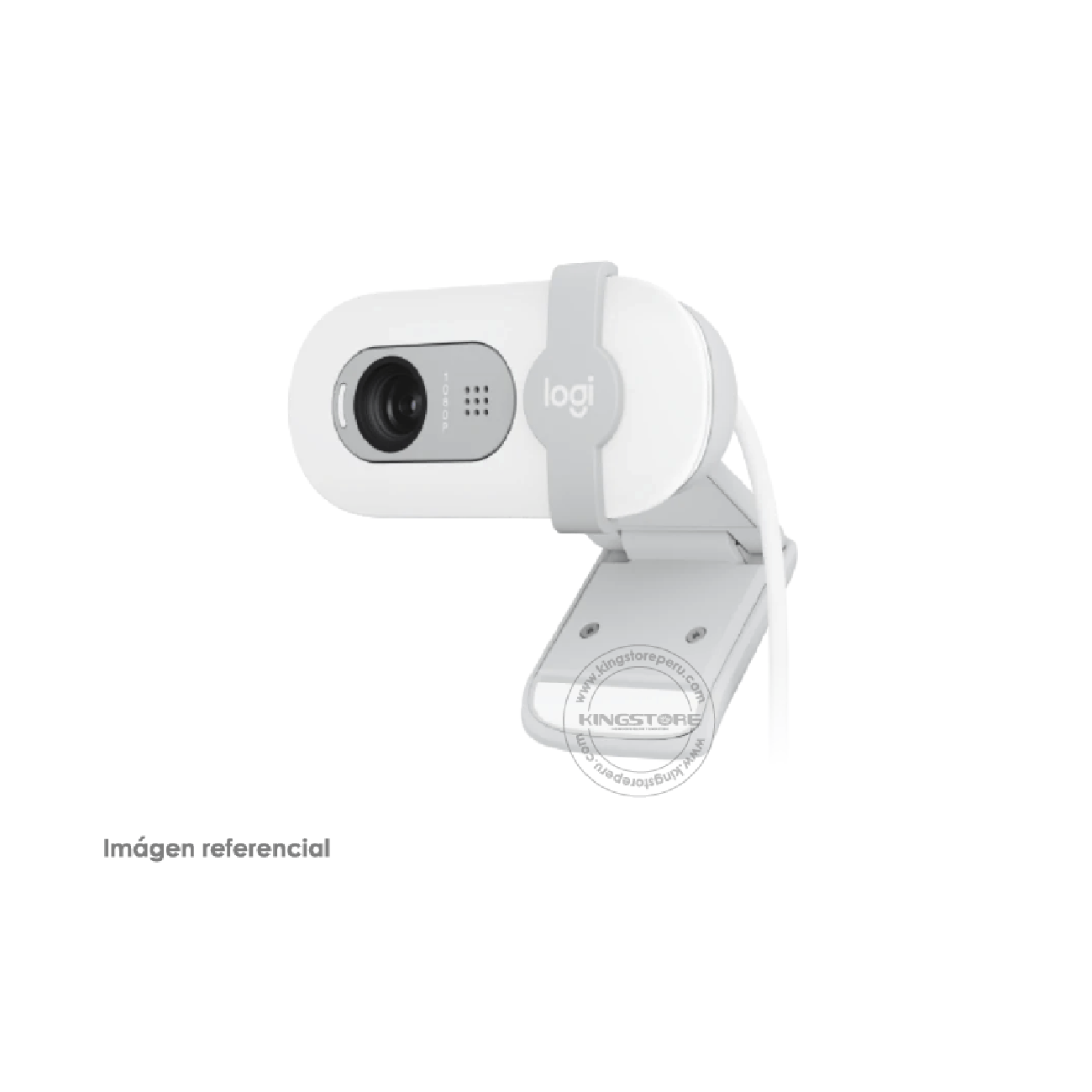 Camara Web Logitech BRIO 100 FHD 1080P Blanco