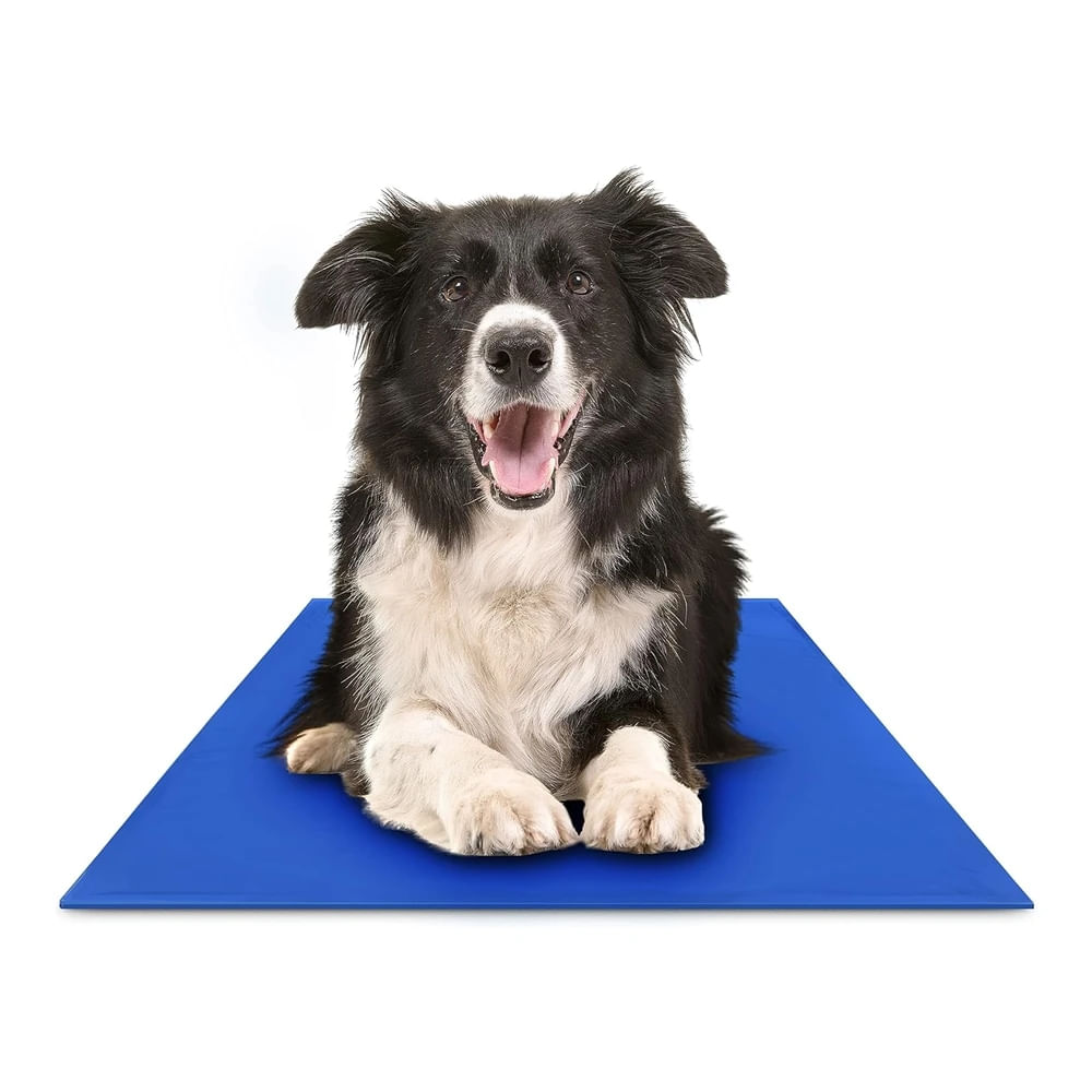 Gel de Enfriamiento para Mascotas Hugs Pet Productos Chillz Pad Comfort - L - Azul