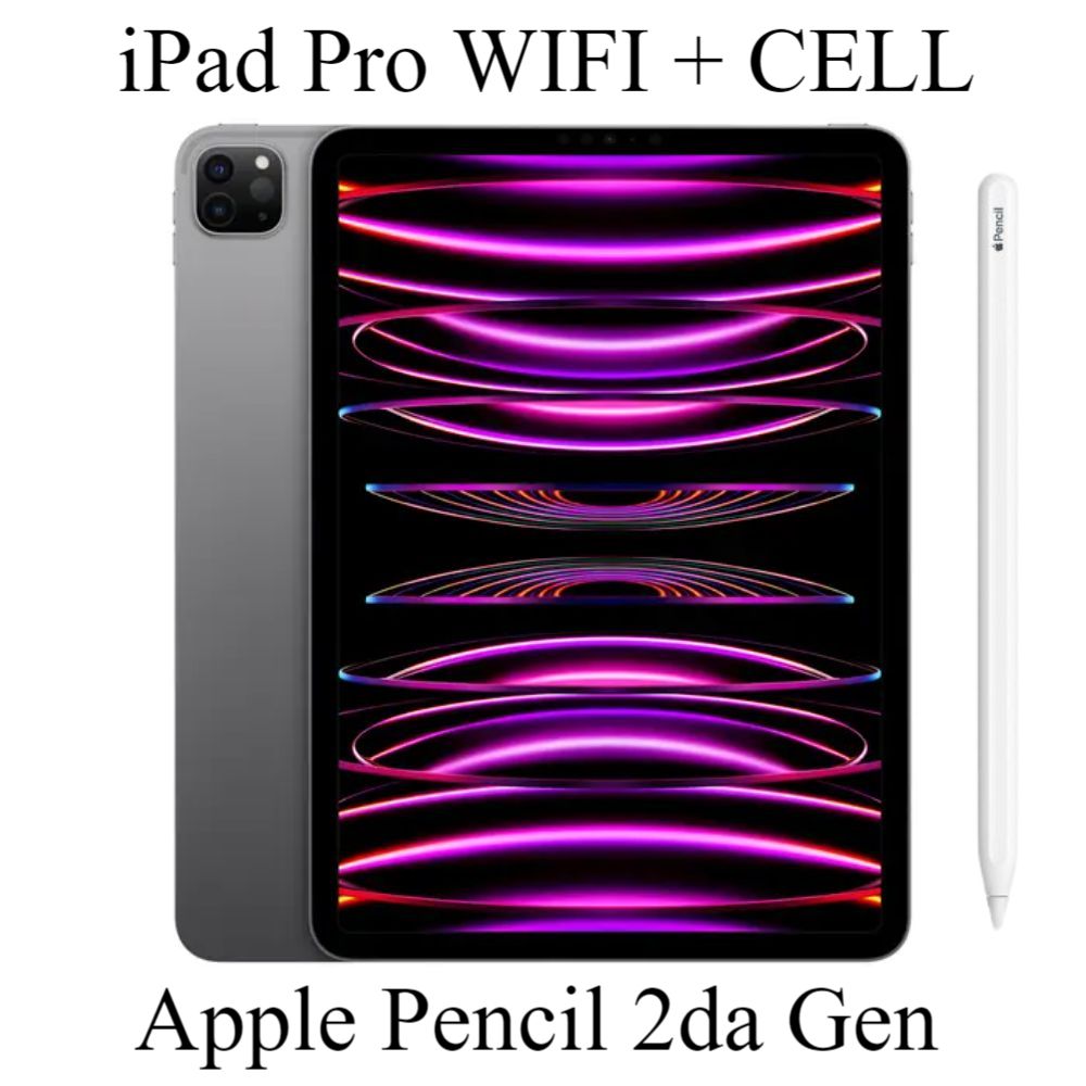 iPad Pro 12.9" 6ta Gen 256GB WIFI/CELL - Space Gray + Apple Pencil 2da Gen