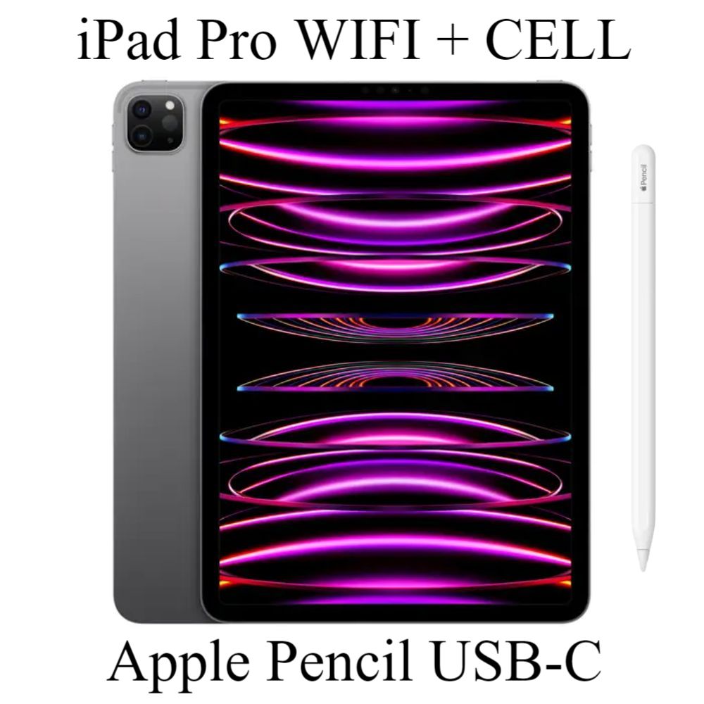 iPad Pro 12.9" 6ta Gen 256GB WIFI/CELL - Space Gray + Apple Pencil USB-C