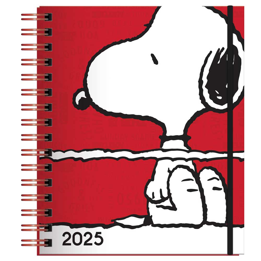 Agenda 2025 Snoopy DGNOTTAS