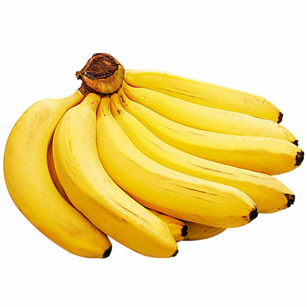 Plátano de Seda
